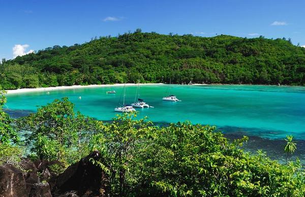 海盗的寻宝之旅