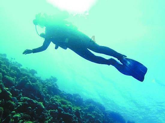 2024年9大腰部按摩器测评推荐：倍轻松、未野、蓝宝等测评细节！